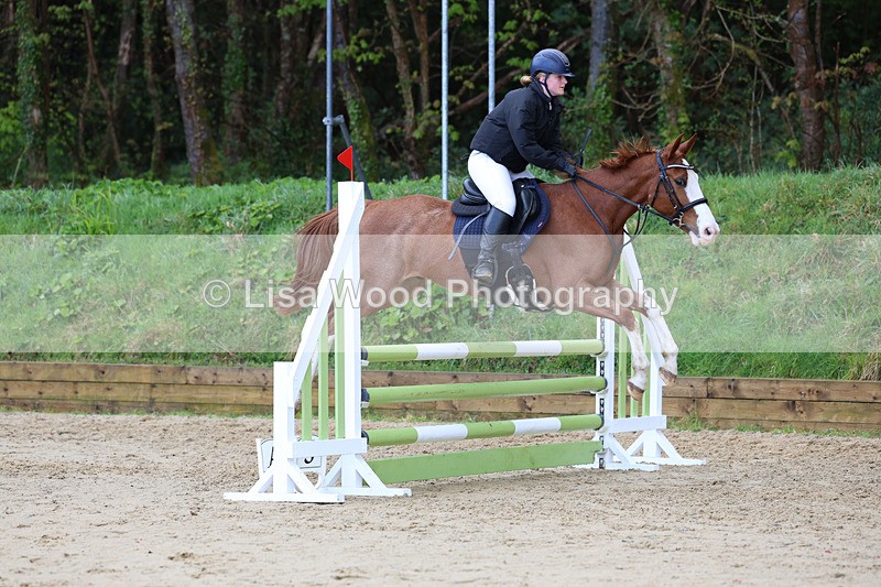 3E7A0640 - Class 4: Senior British Novice/90cm open