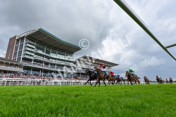 150524-Race 5-Diligent Resdev-5549 - Race 5 4.15pm Conundrum HR Consulting Handicap