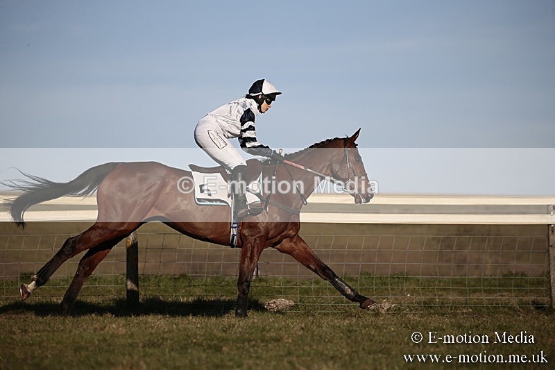 PtP 240218 669 - Vine & Craven Hunt Point-to-Point Barbury racecourse 24/02/18