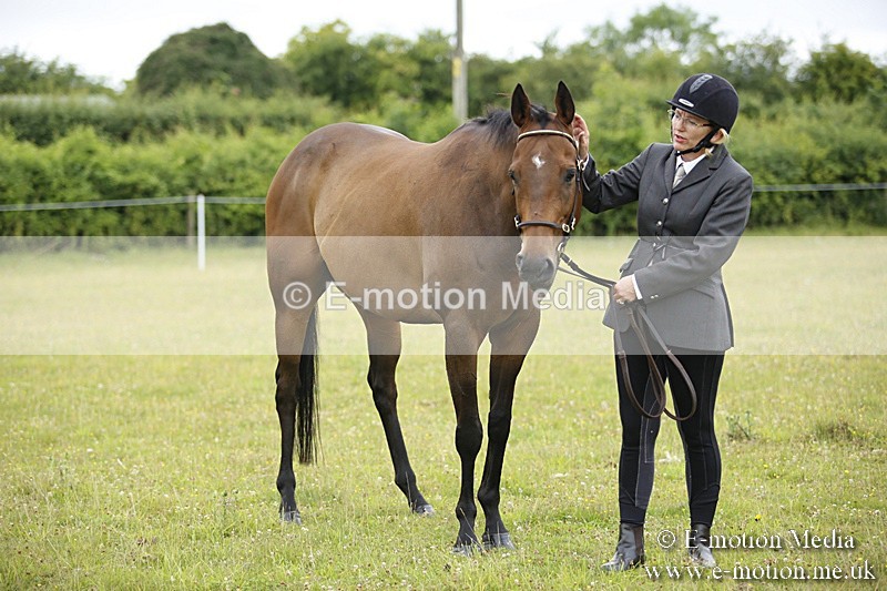 BVR160717-74 - Ring 1 BVRC Show 16/07/17