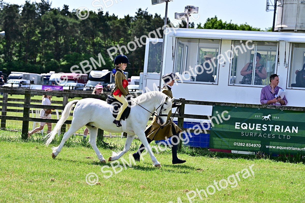 SBM_05999 - Class 59-60 - TSR M&M  Lear Rein and First Ridden Amateur of the year