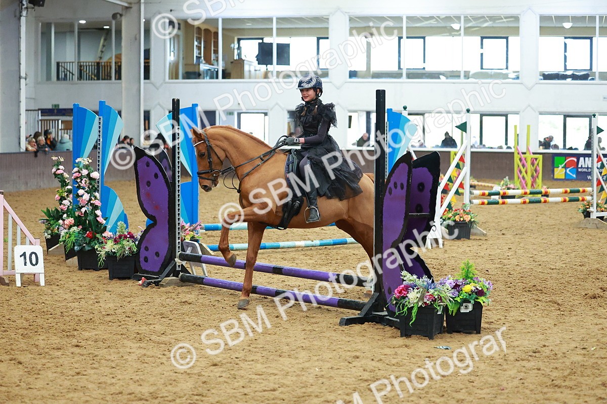 SBM_002553 - Class 3 - Horse & Hound (60cm)