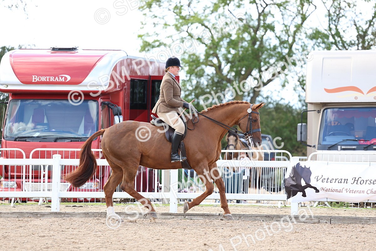 SBM_17147 - Class 315 - Best Horse - Rider Combination