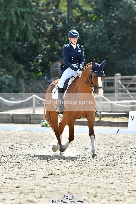 260802A-151354-07319 - Intermediate Bronze
