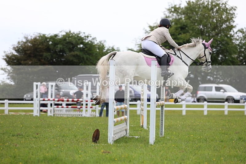 3E7A1758 - Class 13: Senior British Novice/90cm open