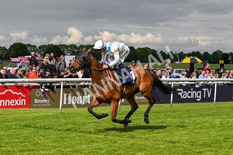 290524-Race 5-Distinction-6465 - Race 5