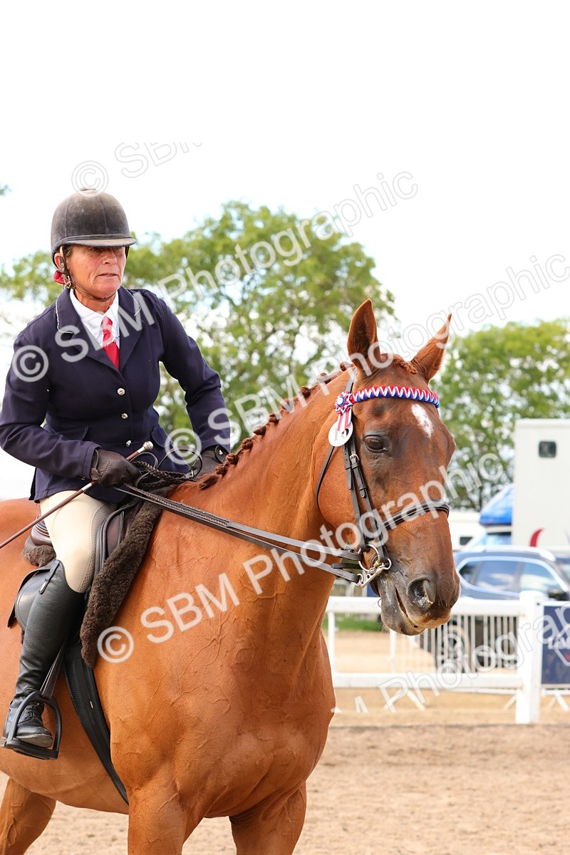 SBM_16260 - Class 217 - Ridden Retired Racehorse