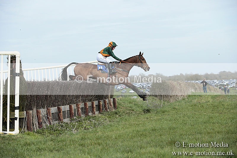 PtP 230319 367 - VWH Hunt Siddington Point-to-Point Racing 23/03/19