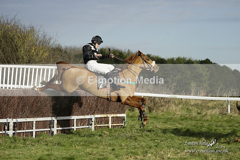 PtP 281121 0147 - Hursley Hambledon Point-to-Point Larkhill 28/11/21