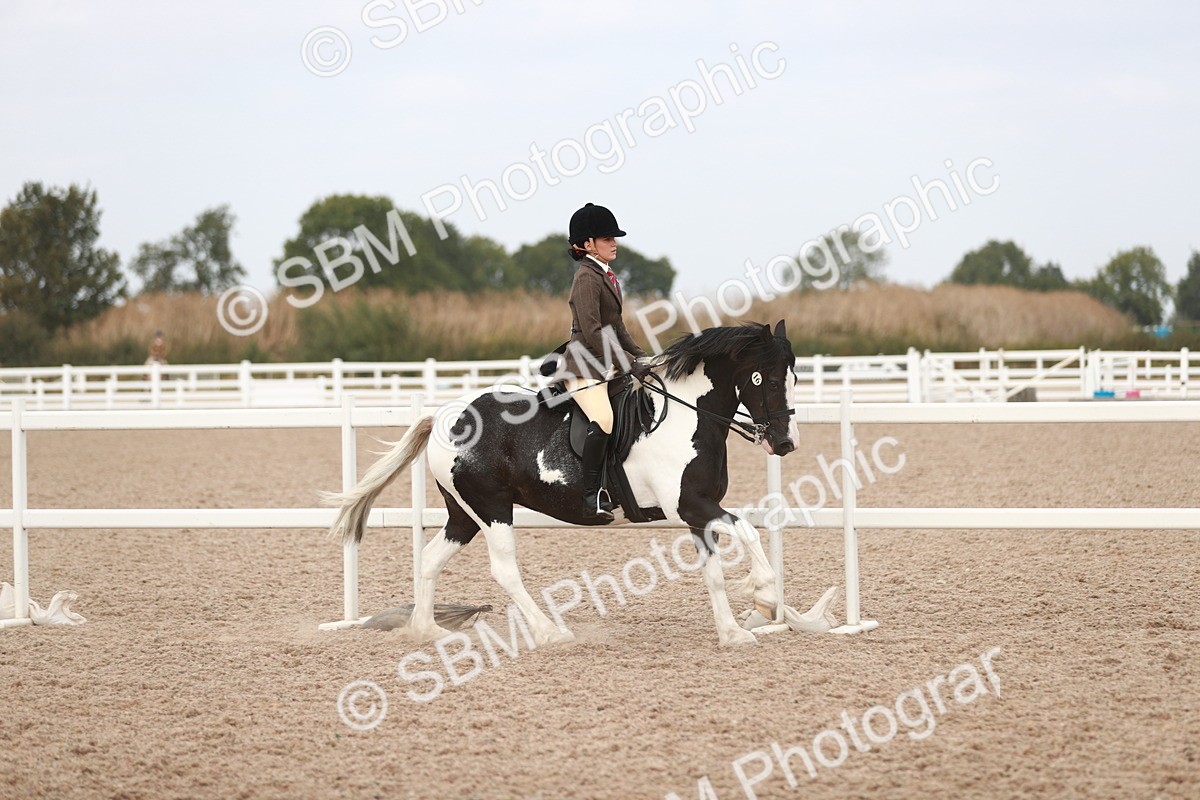 SBM_16684 - Class 214 Ridden Cob