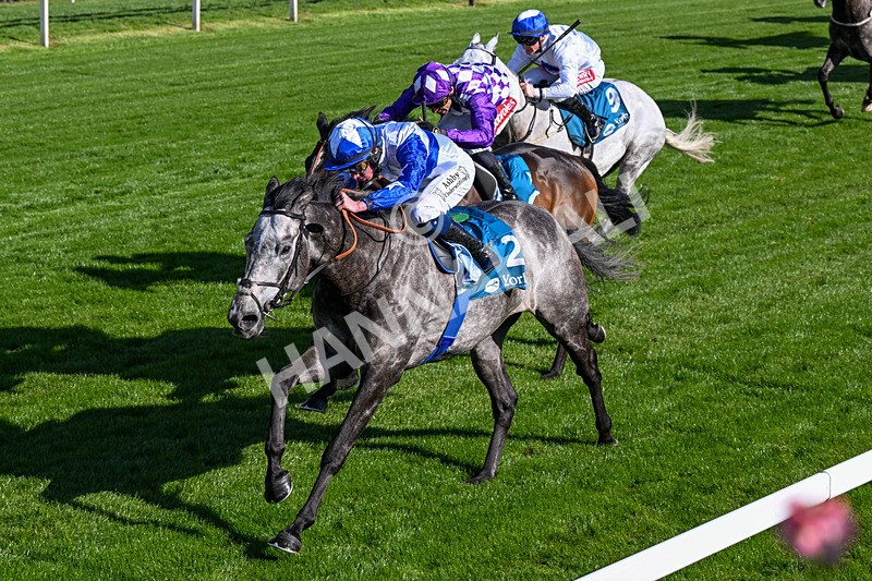 130526-Race 7-Master Builder-0449 - Race 7 5.15pm Stuey Weston & Friends Getting Out Handicap