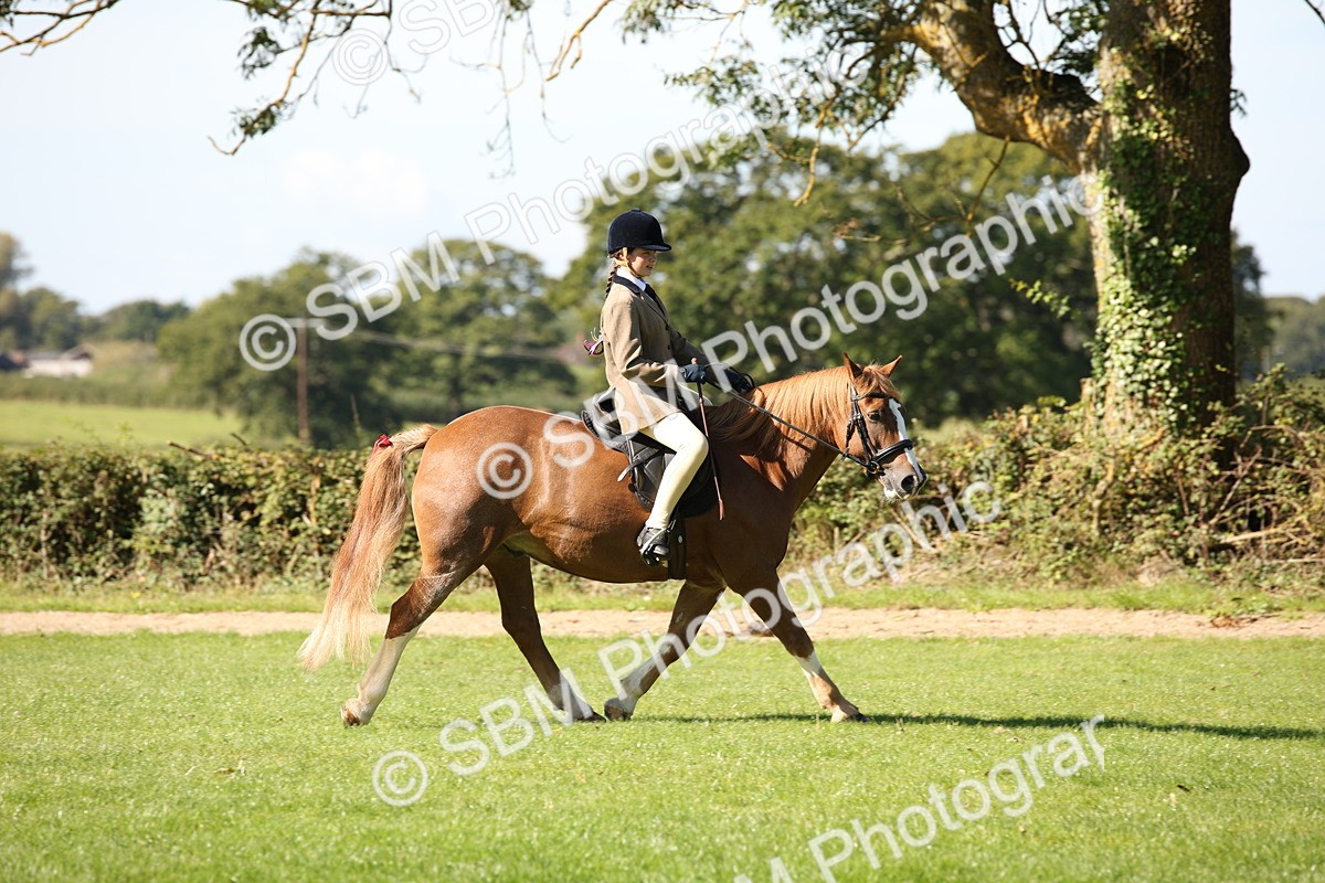 SBM_39001 - S11 - Best Ridden Horse & Pony