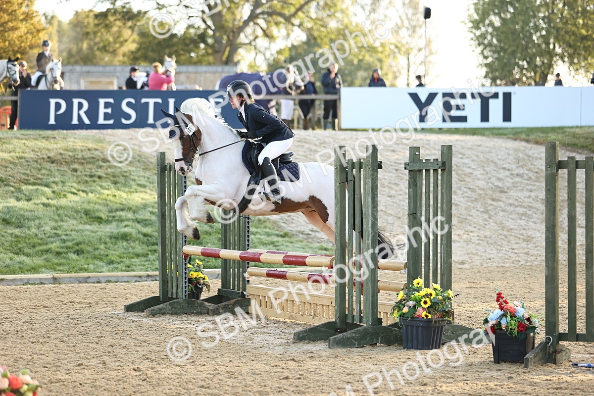 SBM_33006 - J38 - Senior 80cm Championship