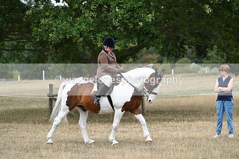 WJ7_4645 - Class 12 Ridden Cob