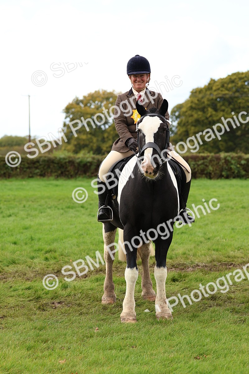 SBM_45136 - S27 - Young Veteran Ridden