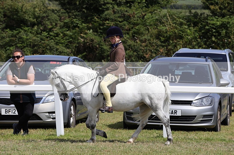 1X9A5360 - Class 37: NPS M&M First Ridden