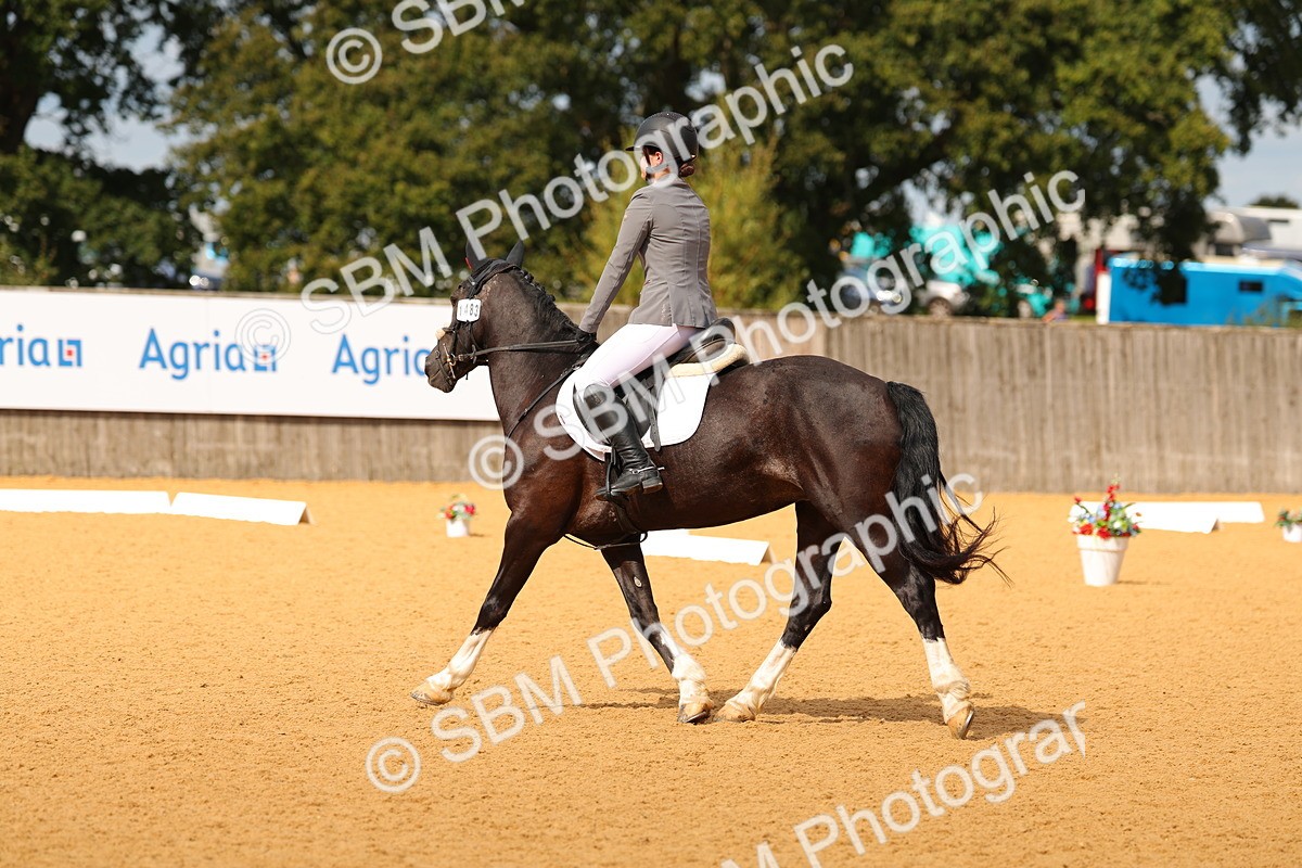 SBM_43983 - D22 - Junior Championship - Intro B