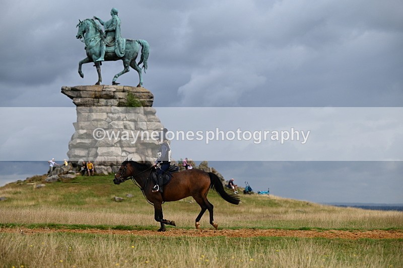 DSC_4709 - Time at Statue 11:10 to 11:42