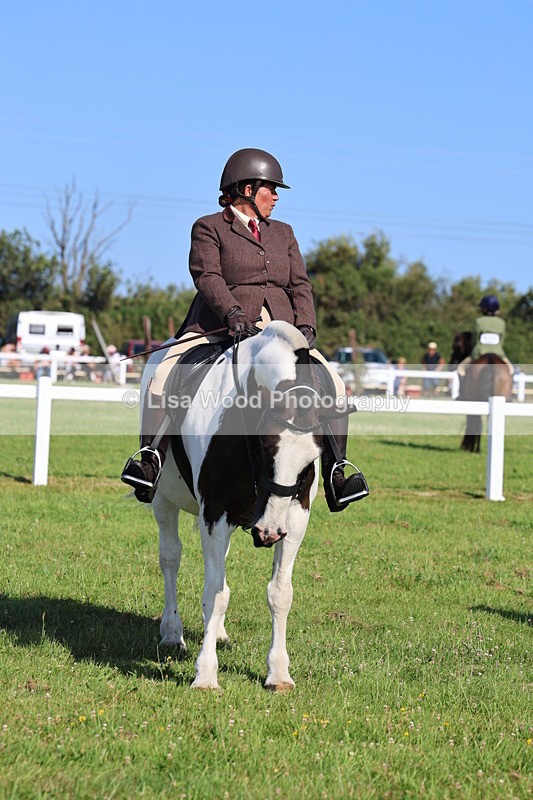 IMG_1557 - Class 30: Ridden Native/Trad Coloured Pony