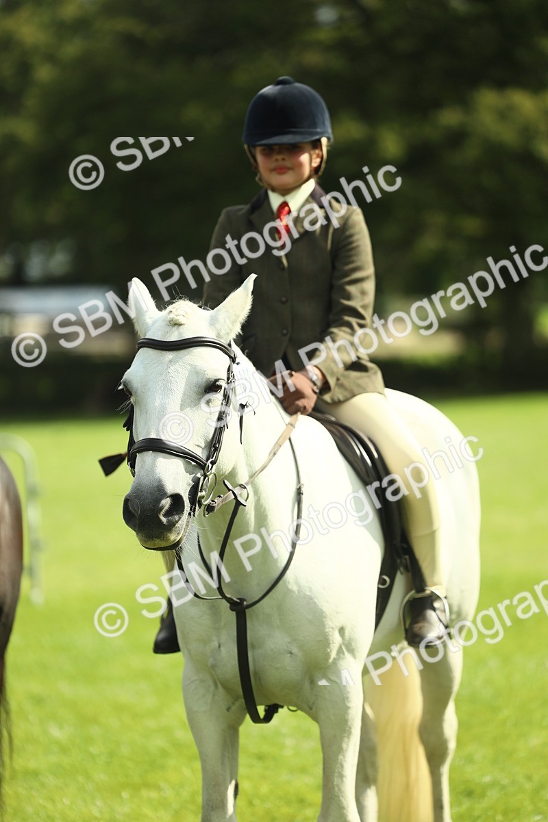 SBM_42149 - S29 - Novice & Newcomers Working Hunter Pony