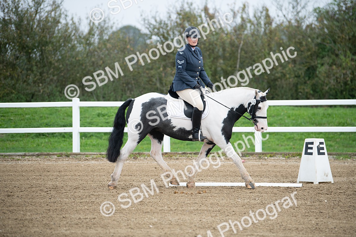 SBM_003495 - Introductory Test 3