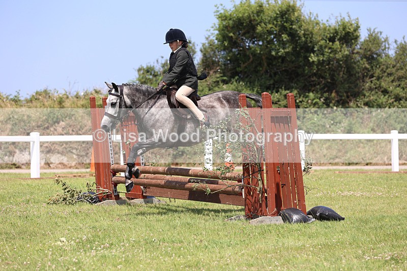 JPP_2615 - Class 21: Working Hunter 60cm