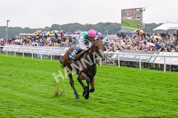 080924-Race 1-Windlord-8810 - Race 1 1.40pm British European Breeders Fund Novice Stakes