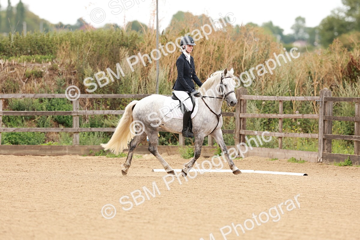 SBM_001013 - Intro 2