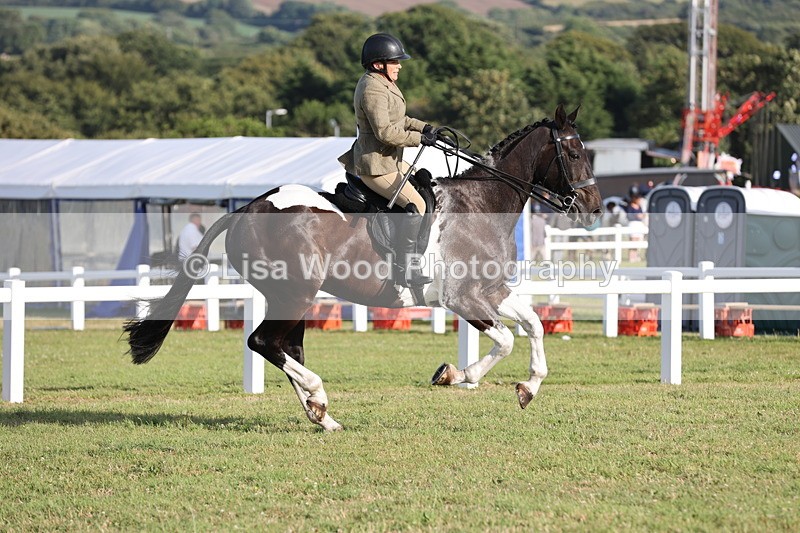 JPP_3456 - Class 22: Working Hunter 90cm