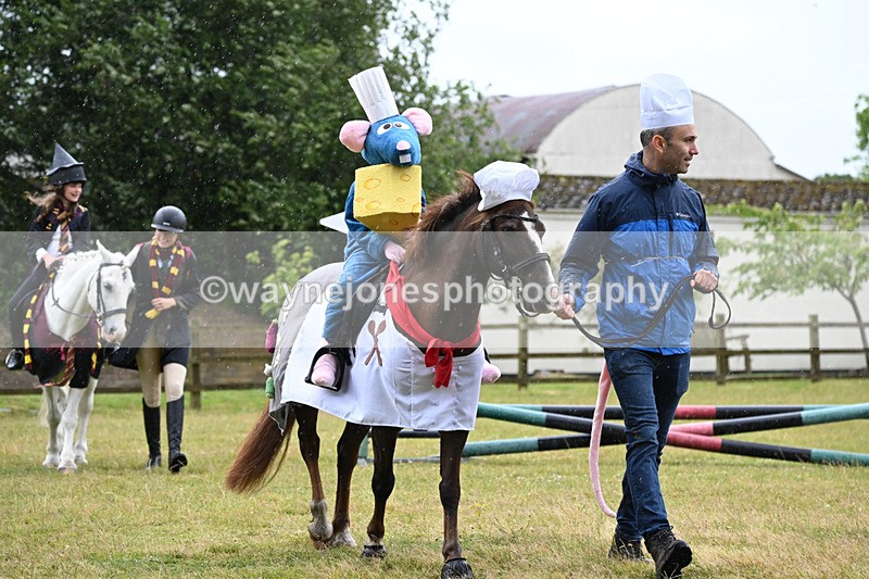 WJ6_9075 - Class 11 Fancy Dress