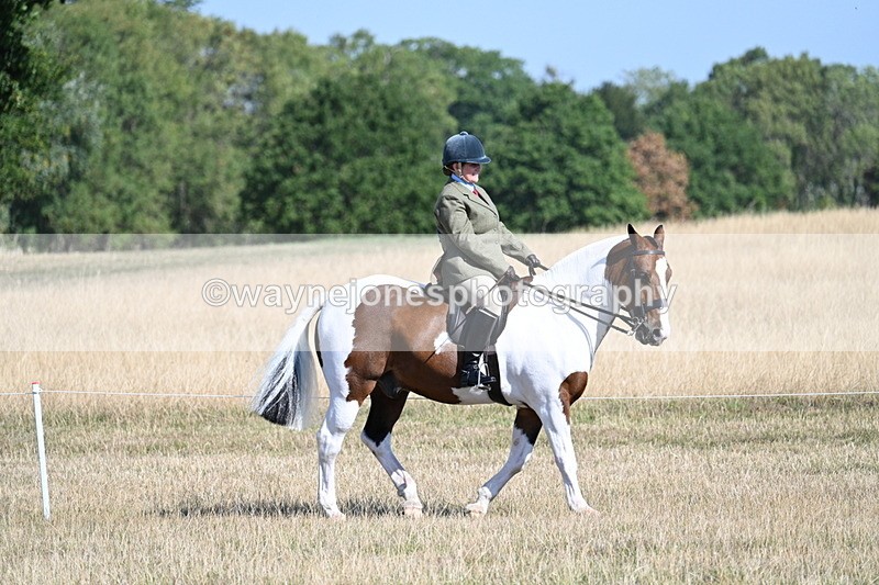 WJ7_3038 - Class 8 Ridden Tack & Turnout