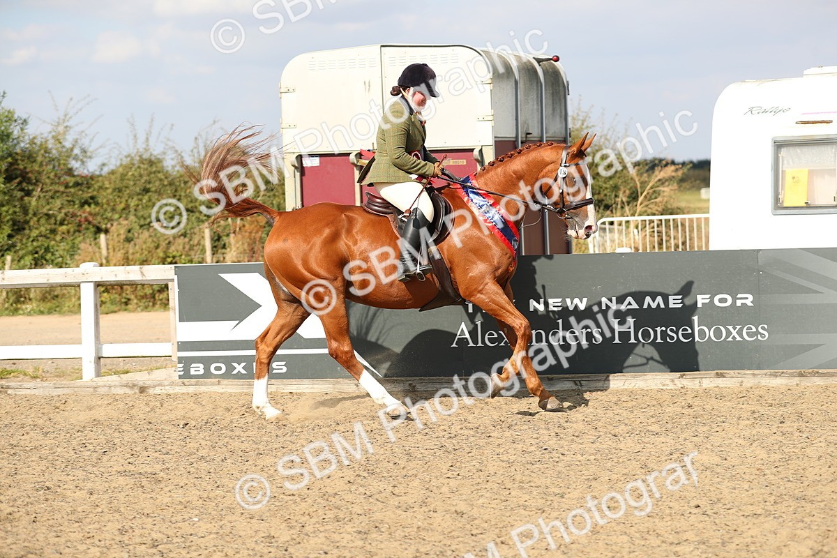 SBM_06936 - Class 49a Style & Performance 80cm (15-19)