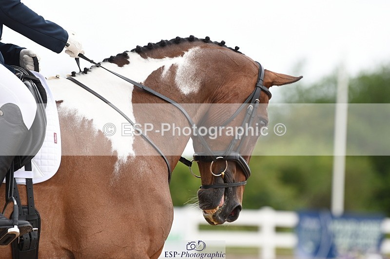 230630A-104542-00858 - Cls 4 Novice 23 Start to 11.30 break