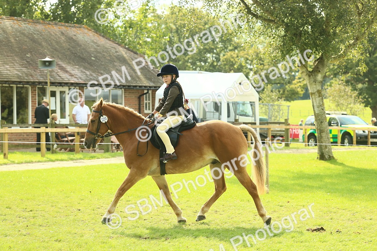 SBM_62504 - S62 - Foreign Breeds Ridden