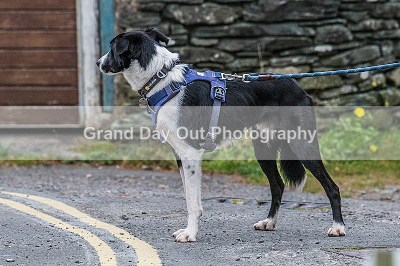Derwentwater-739 - Derwentwater 10 Mile Road Race Sunday 3rd November 2024