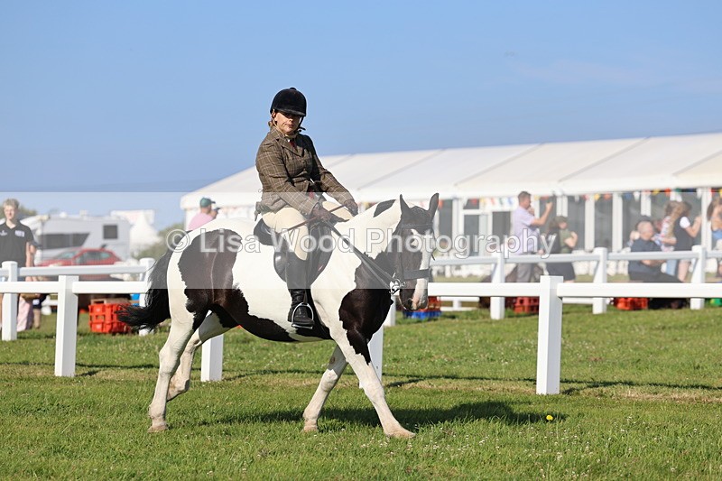 IMG_1493 - Class 30: Ridden Native/Trad Coloured Pony