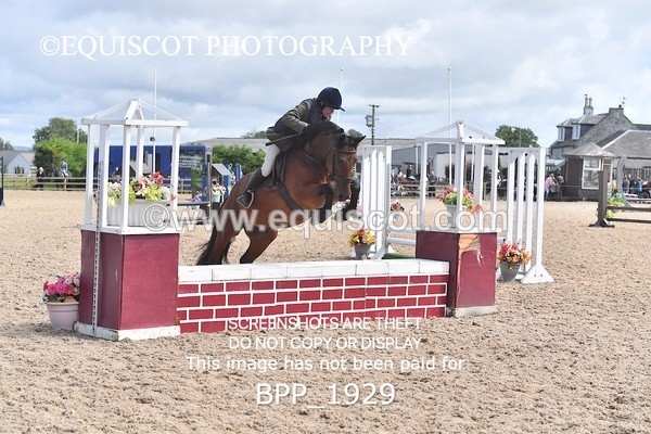 BPP_1929 - DERBY CLASS 5 - 60CM