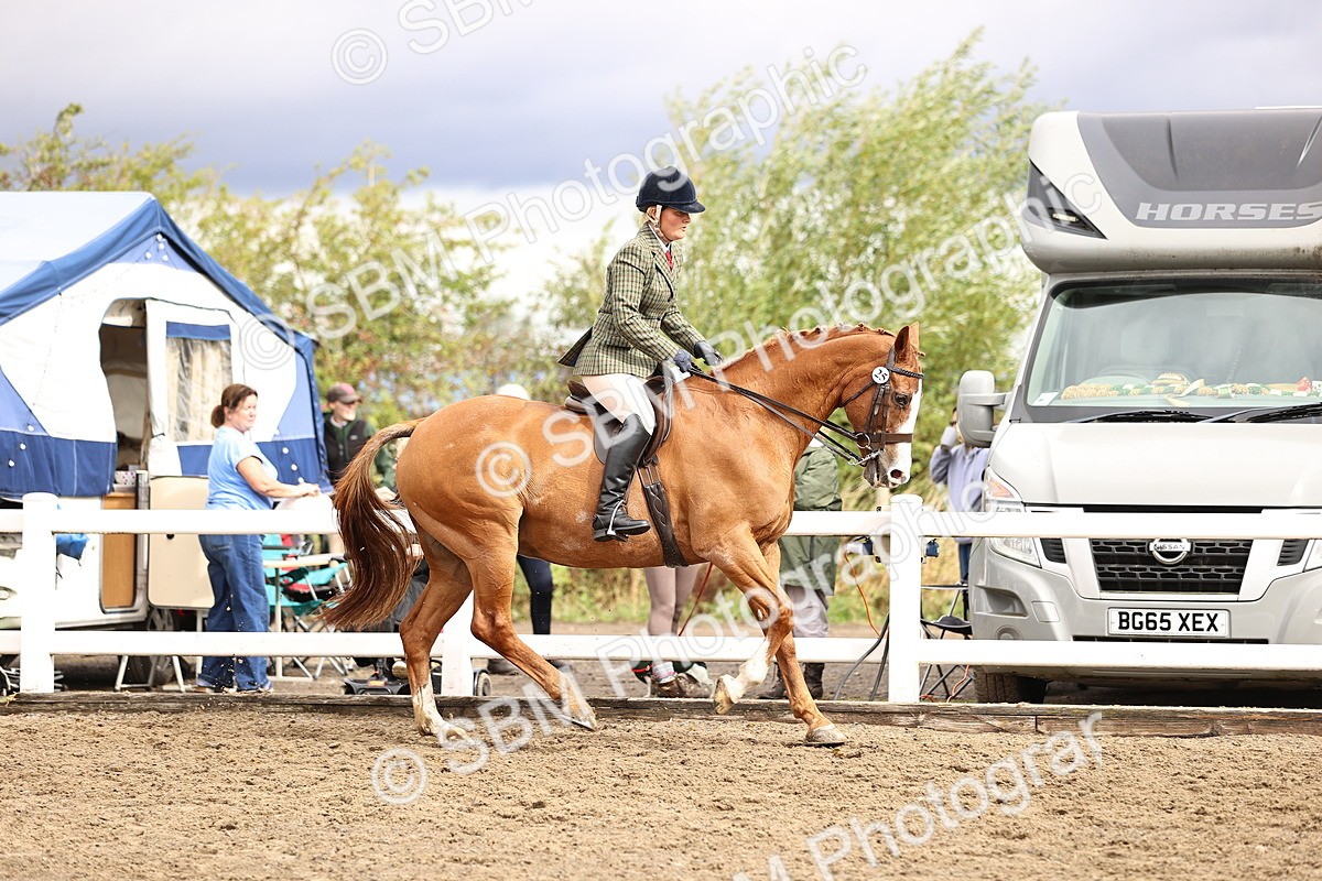 SBM_00578 - Class 53 - Ridden Competition Horse Pony