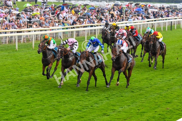 100923-Race 6-Anjo Bonita-1066 - Race 6 4.25pm Hanson Springs 60th Anniversary Handicap at York