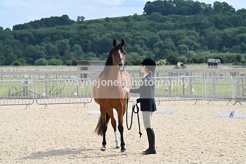 WJ7_8155 - Time 16:10 to 16:25