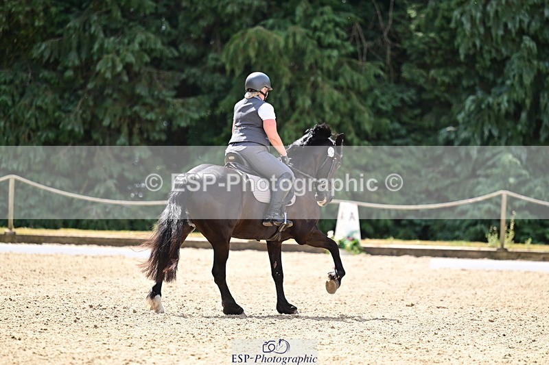 260802A-115544-06012 - Novice Silver break- end