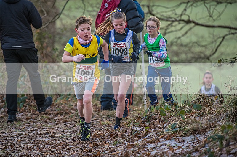 Cumbria XC-29 - Cumbria Cross Country Championships (Junior & Senior Races) Saturday 3rd January 2026