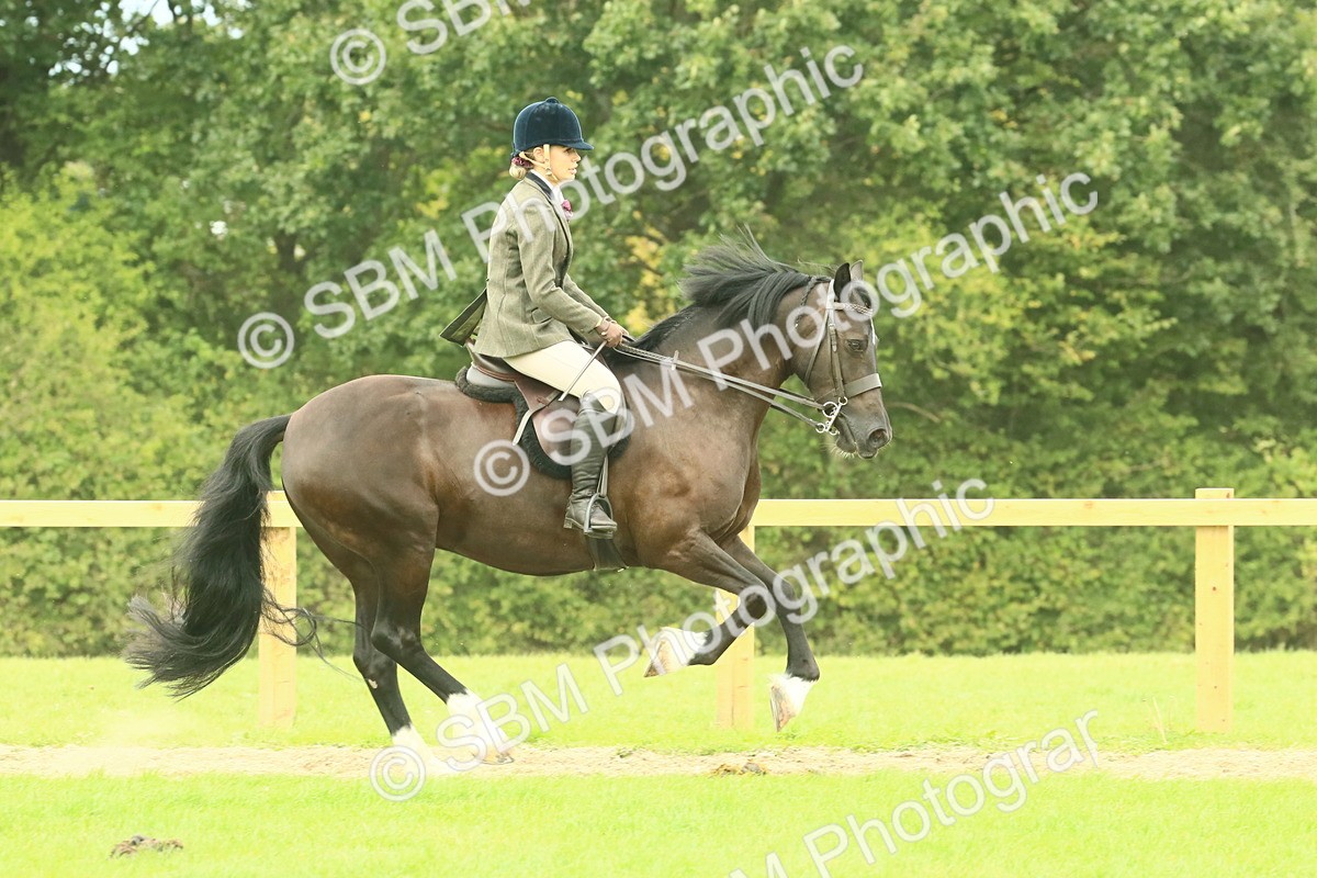 SBM_71919 - S60 - Mountain & Moorland Ridden Large Breeds