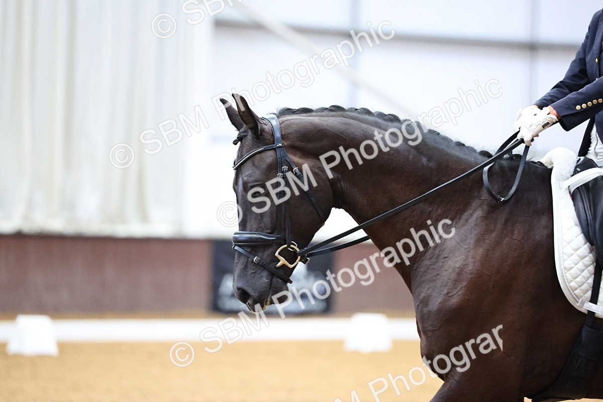 SBM_005607 - Class 5 - Novice 6 - 9.30-10.33