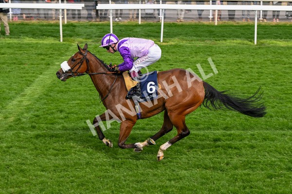 150524-Race 4-Secret Satire-4253 - Race 4 3.45pm Tattersalls Musidora Stakes
