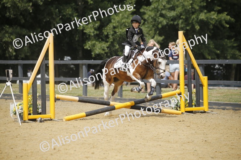 20250622-4121 - 50cm