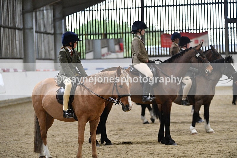 WJ5_8529 - Class 14 Novice Ridden/Rider