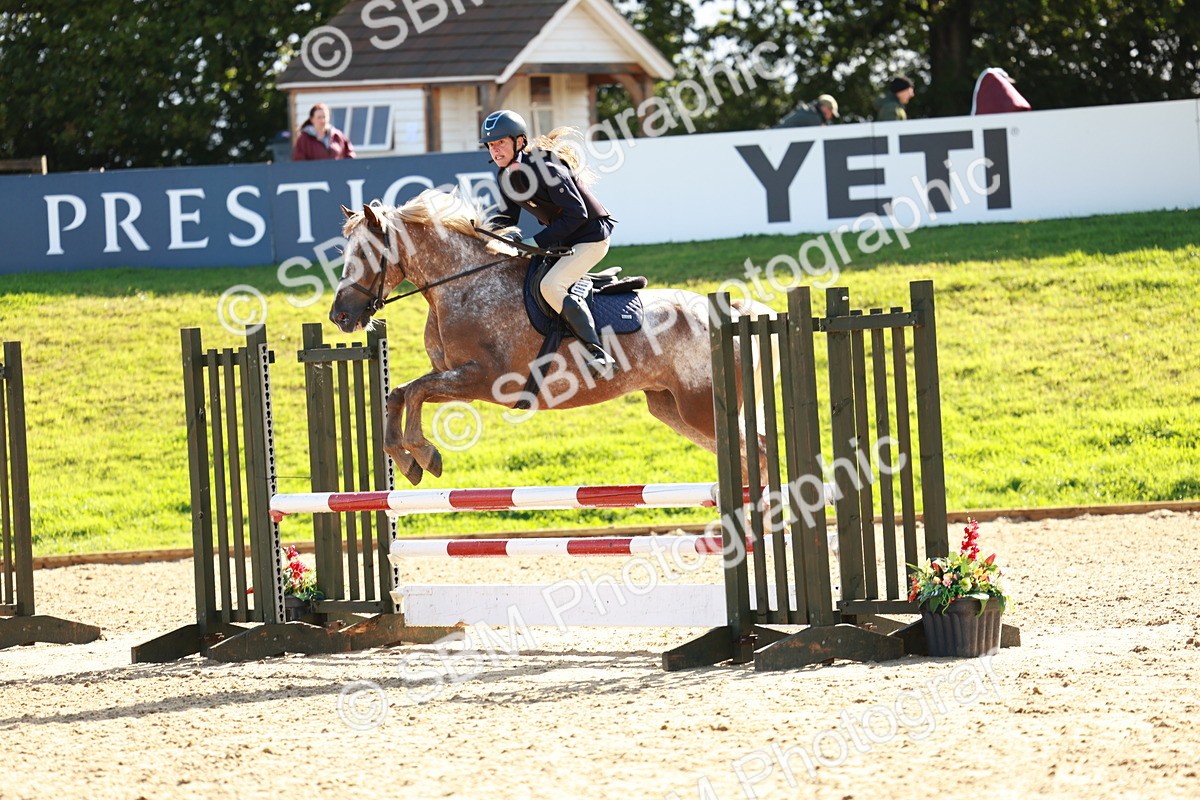 SBM_38005 - J39 - Senior Horse & Pony 85cm Championship