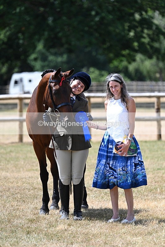 WJ7_2030 - Class 4a Prettiest Mare 14.2hh and over hand