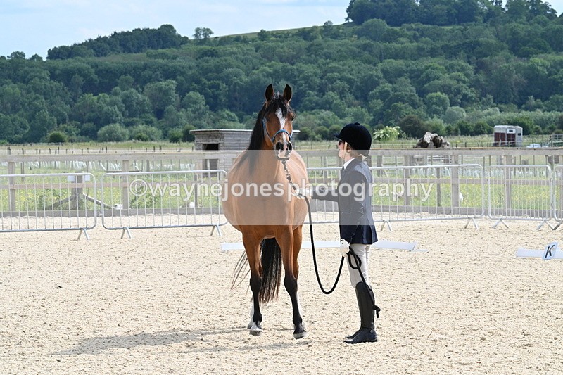 WJ7_8159 - Time 16:10 to 16:25